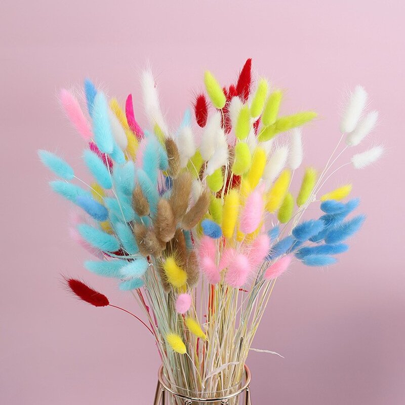 Dried Bunny Tail Grass Factory - OEM Elegant Natural for Wedding Party Christmas Valentine's