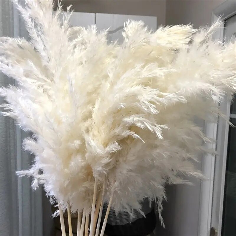 Dried Pampas Grass Factory - OEM Natural Fluffy for Wedding Home Decor Centerpiece Display