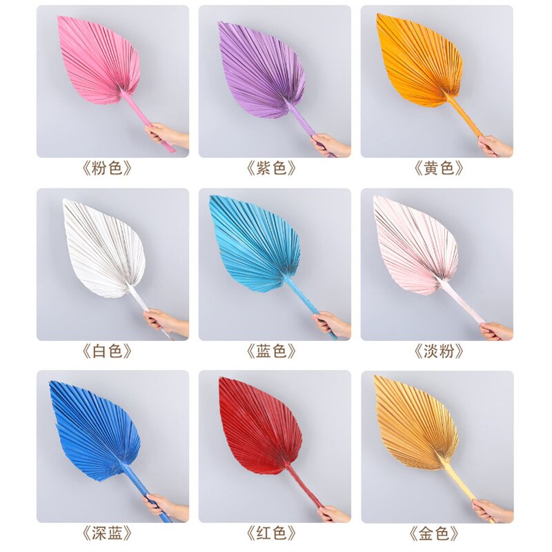 Artificial Fan Leaf Factory - OEM Wholesale Colorful Preserved Natural Large Dry Pink