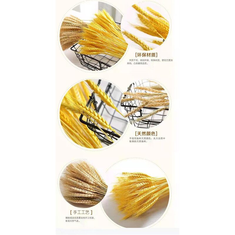 Dried Wheat Stalks Factory - OEM Hot Selling Natural for Wedding Home Kitchen Decoration