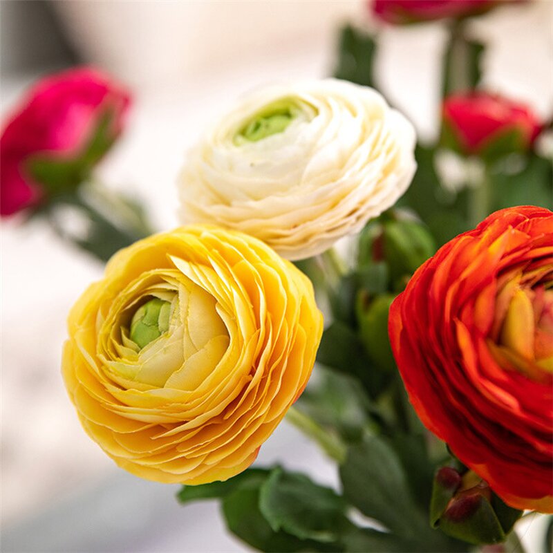 Artificial Ranunculus Flower Manufacturer - OEM Luxury Real Touch Single Dew for Home Event