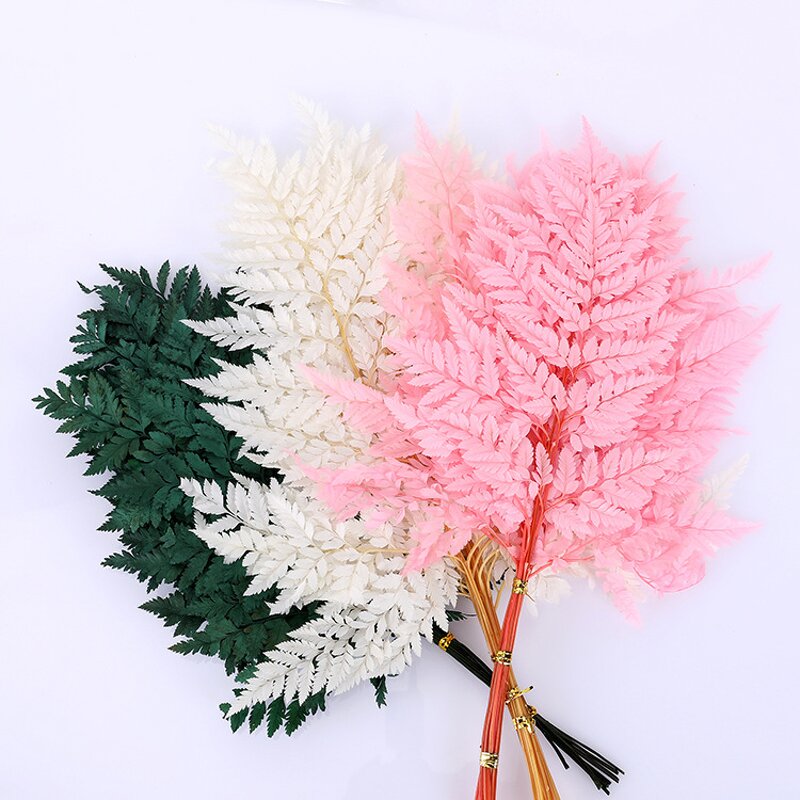 Dried Straw Flower Manufacturer - OEM High Quality Natural Fern Leaf for Wedding Table