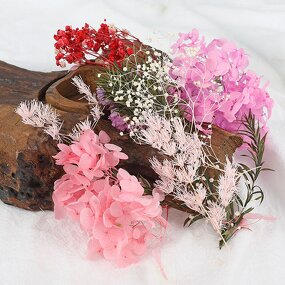 Mixed Dried Flower Kit Manufacturer - OEM Natural Vibrant Color Eternal for DIY Resin Craft