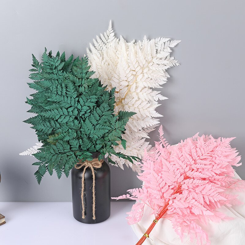 Dried Straw Flower Manufacturer - OEM High Quality Natural Fern Leaf for Wedding Table
