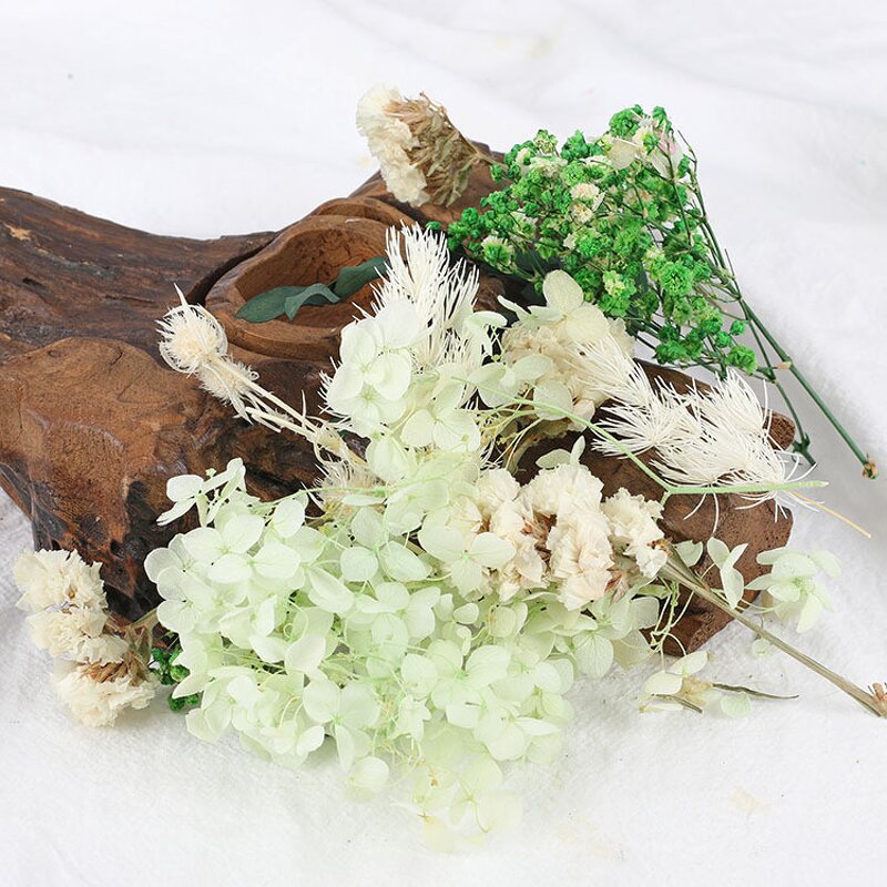 Mixed Dried Flower Kit Manufacturer - OEM Natural Vibrant Color Eternal for DIY Resin Craft