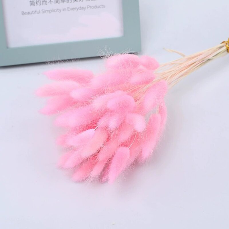 Dried Bunny Tail Grass Factory - OEM Elegant Natural for Wedding Party Christmas Valentine's