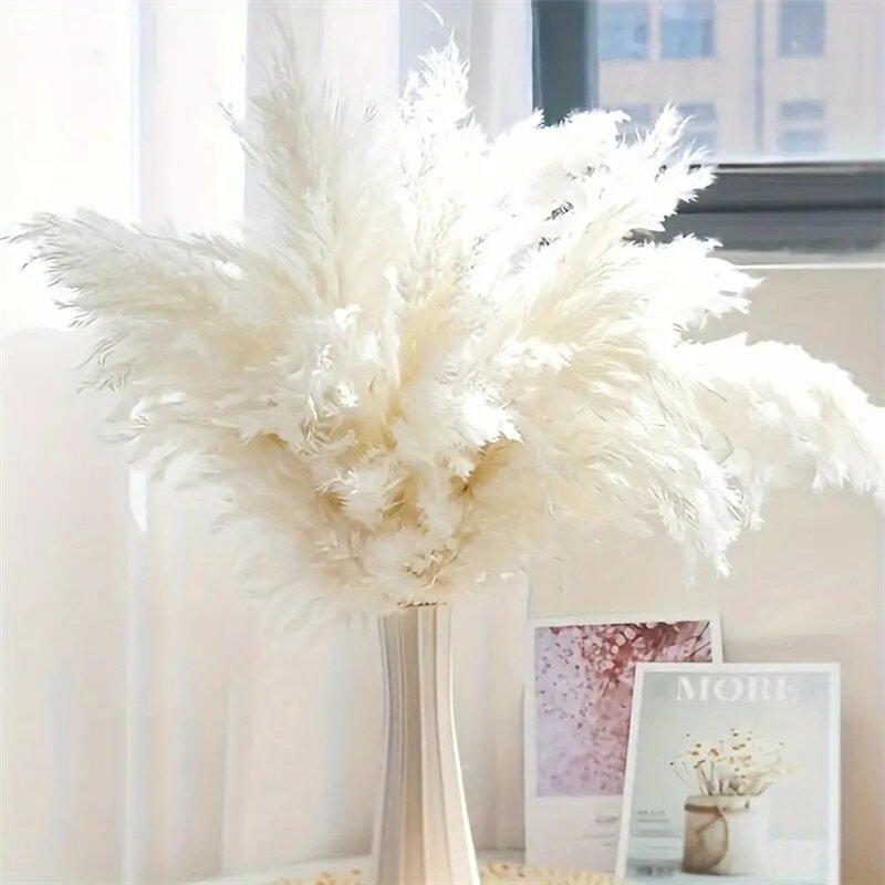 Dried Pampas Grass Factory - OEM Natural Fluffy for Wedding Home Decor Centerpiece Display