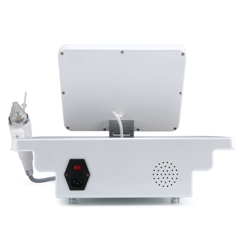 Latest Products 2025 Korea Skin Tightening Fractional RF Microneedle Machine