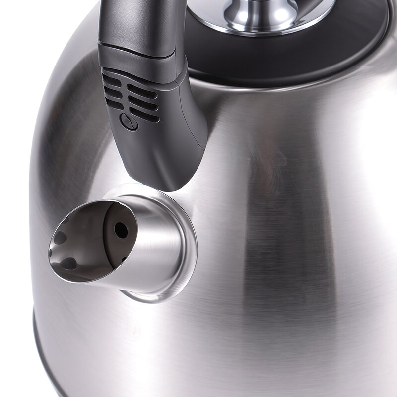 Electric Kettle Manufacturer - OEM Custom 5L Stainless Steel Fast Boil