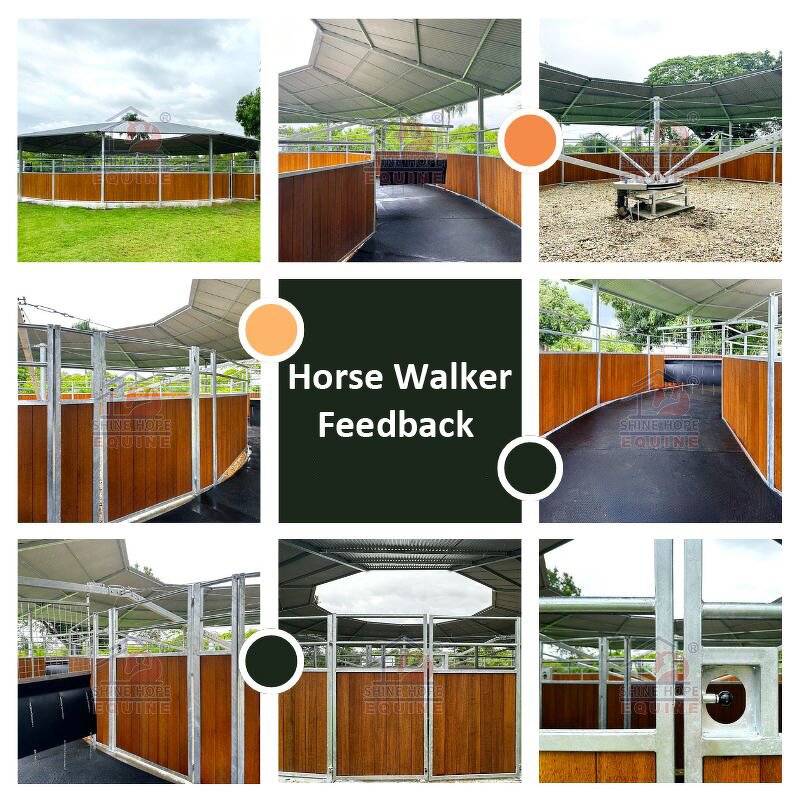 Horse Walker Training Machine Factory - OEM Essential with Charged Pushers Optional Track Roof