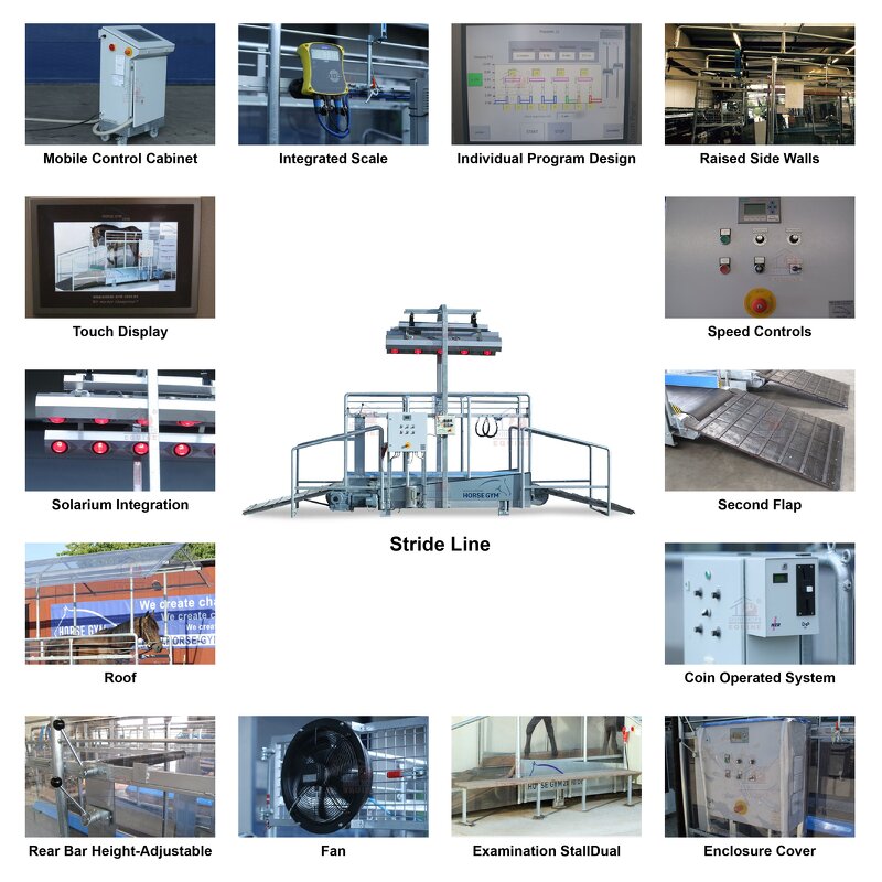 Equine Treadmill Manufacturer - OEM High Speed Horse Strength Training Racing
