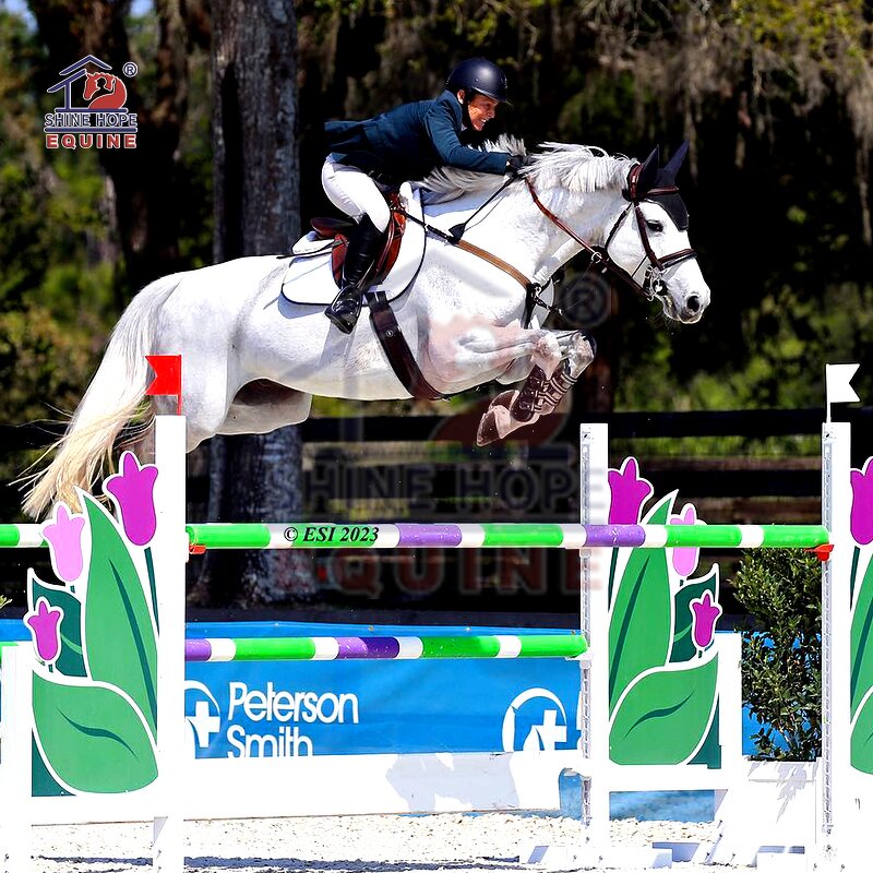 Training Aluminum Jump Manufacturer - OEM New Design Jumping Fence with Keyhole Track