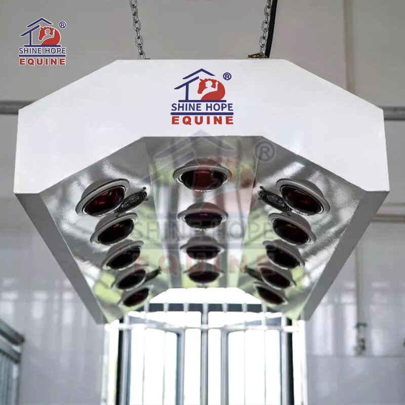 Equine Solarium Manufacturer - OEM Best Selling Infrared Therapy for Horse