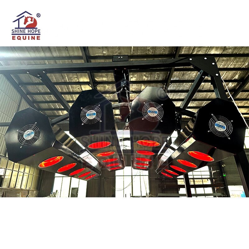 Equine Solarium Manufacturer - OEM Horse Stable Equipment Horse Solarium