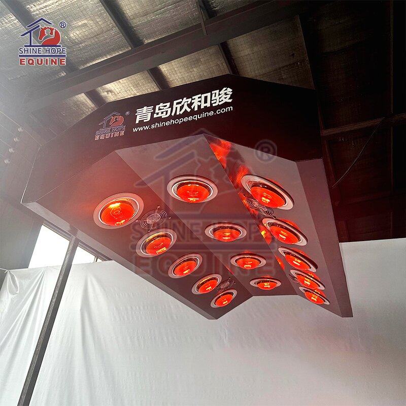 Electric Lift Infrared Solarium Manufacturer - OEM Red Light Therapy Horses Solarium