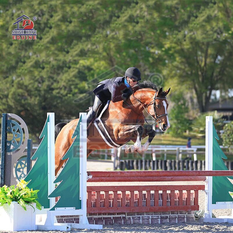 Outdoor Show Jump Accessories Manufacturer - OEM Horse Show Jump Arena Artificial Flower Box