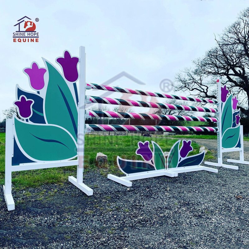 Training Aluminum Jump Manufacturer - OEM New Design Jumping Fence with Keyhole Track