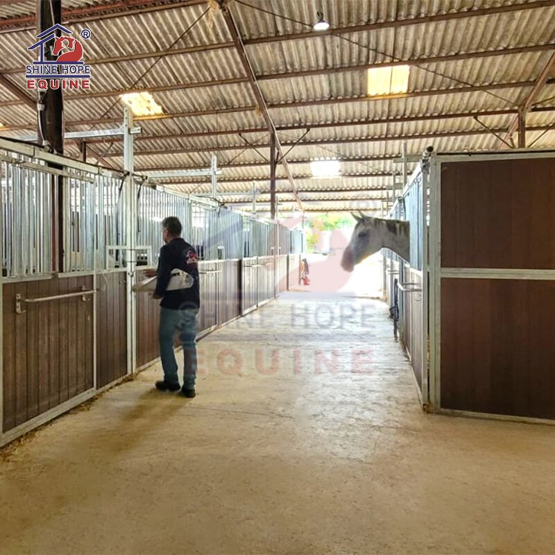 Horse Stall Manufacturer - OEM Luxury Bamboo with Rolling Feeder Racing Stables