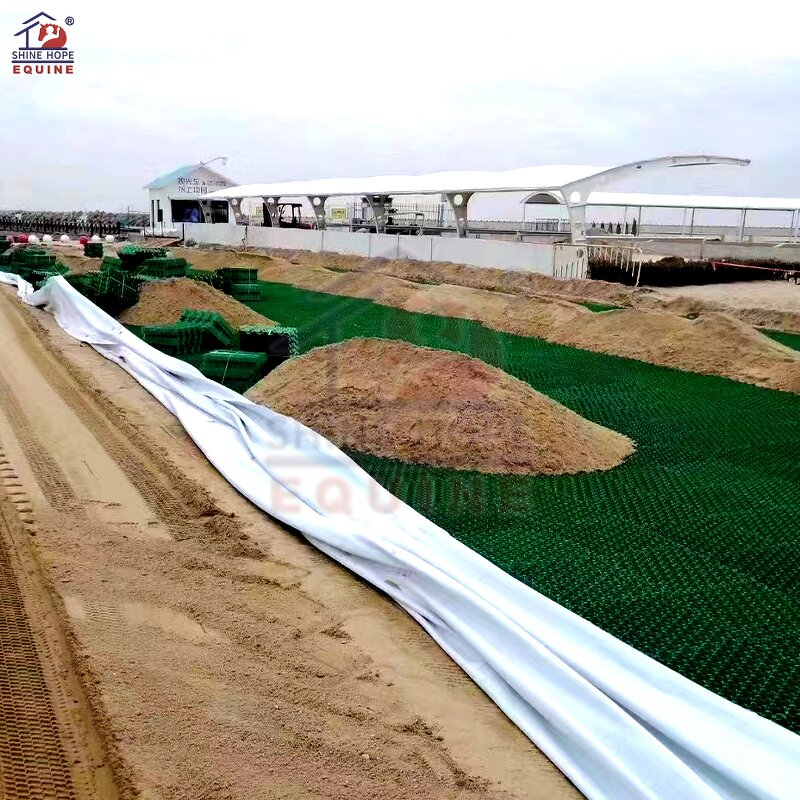 HDPE Grass Grid Paving Factory - OEM Modern Grids for School Driveway Plastic Parking