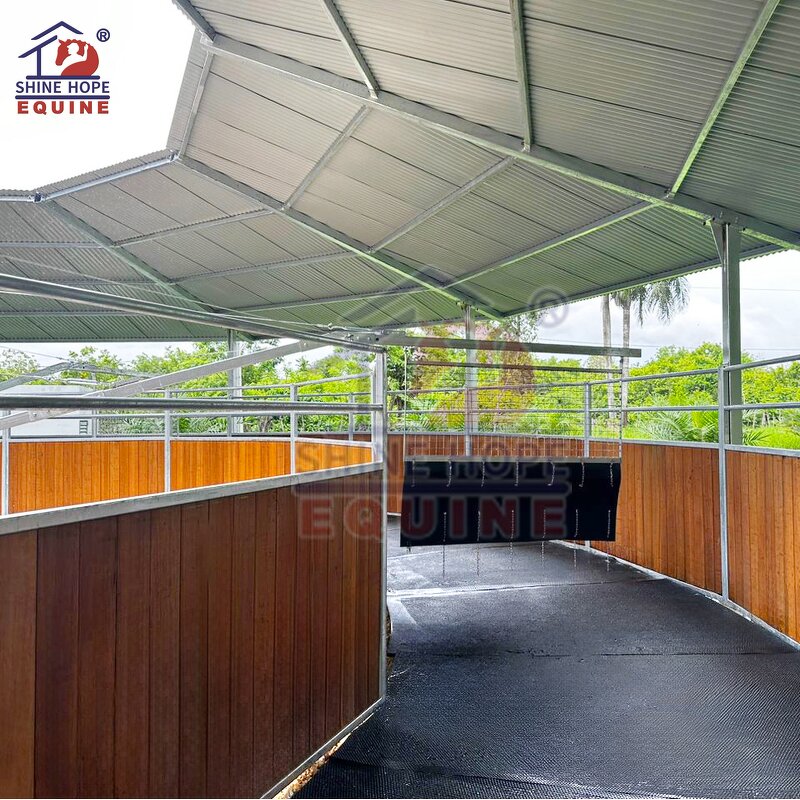 Horse Walker Training Machine Factory - OEM Essential with Charged Pushers Optional Track Roof