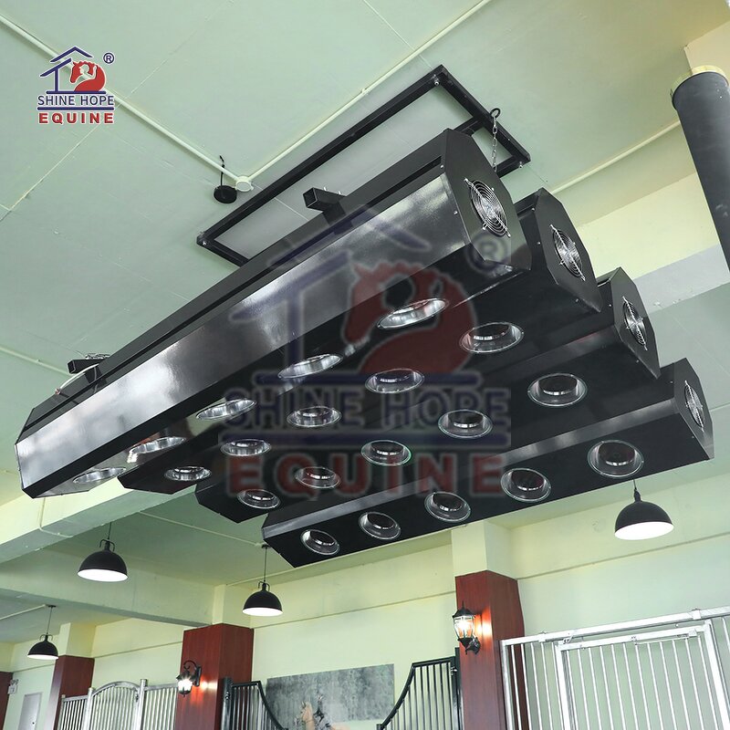 Electric Lift Equine Solarium Factory - OEM Systems for Horses Relax