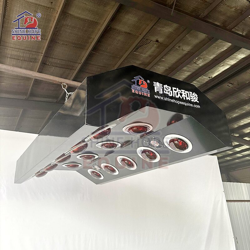 Equine Solarium Systems Factory - OEM Horses Health Machine Solarium