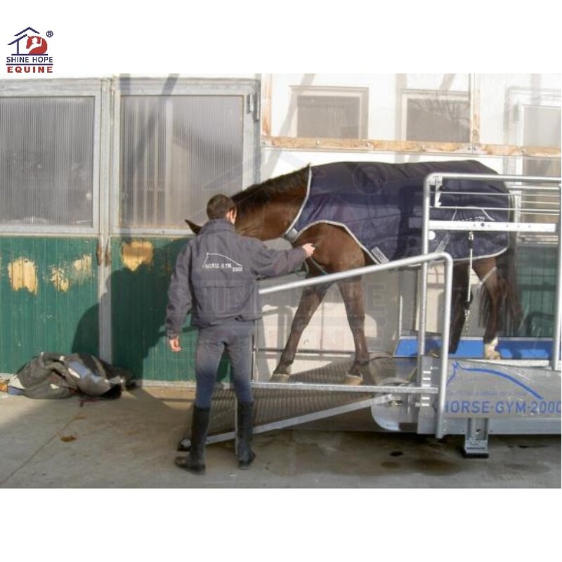 Equine Treadmill Manufacturer - OEM High Speed Horse Strength Training Racing