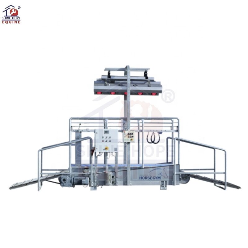 Equine Treadmill Manufacturer - OEM High Speed Horse Strength Training Racing