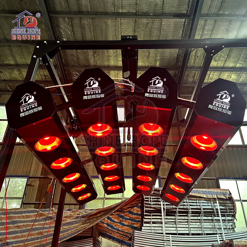Equine Solarium Manufacturer - OEM Horse Training with Imported Lamps for Sale