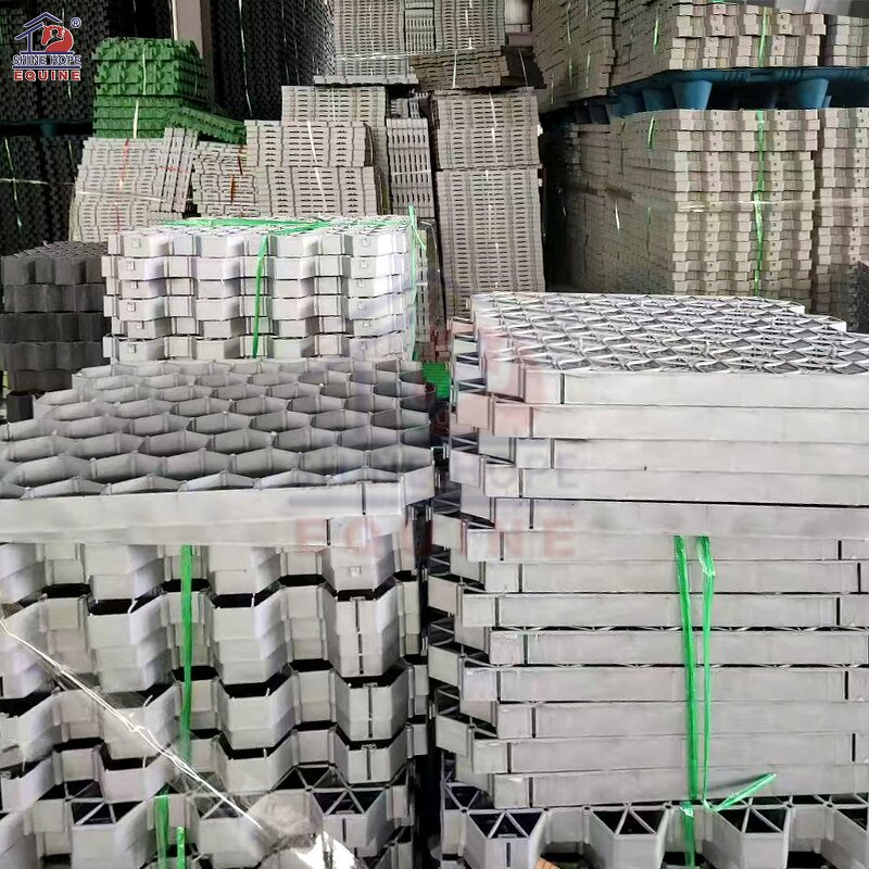 HDPE Grass Grid Paving Factory - OEM Modern Grids for School Driveway Plastic Parking