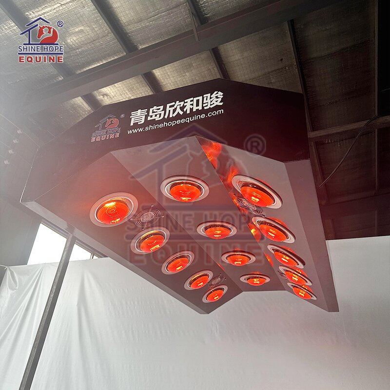 Equine Solarium Manufacturer - OEM Best Selling Infrared Therapy for Horse
