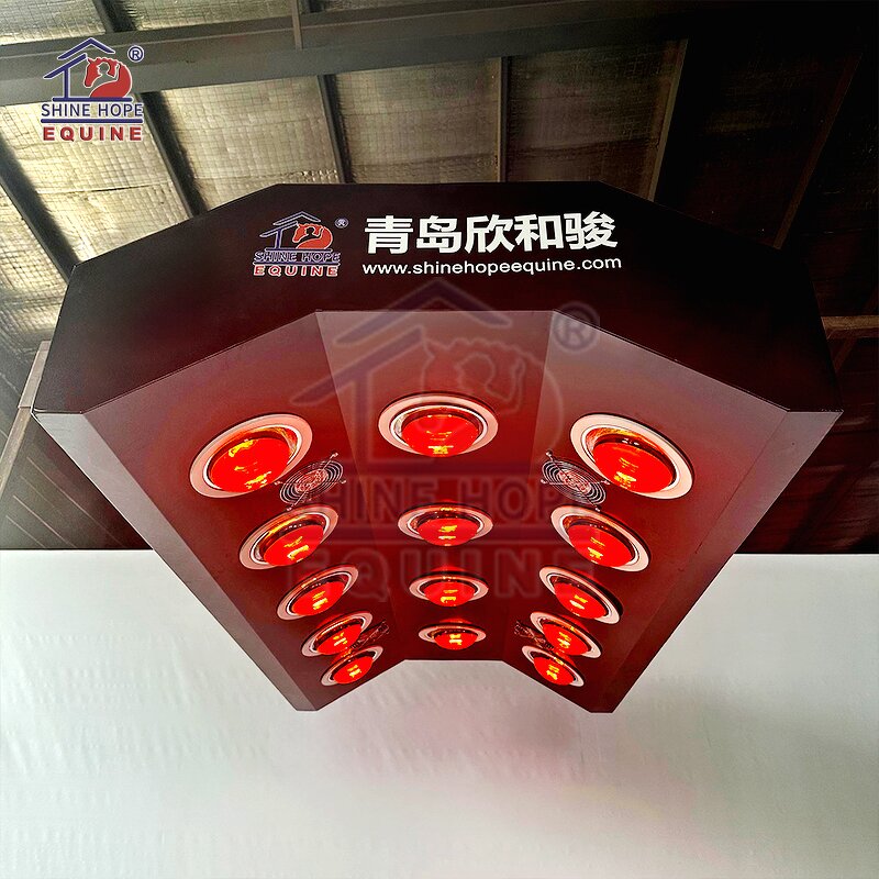 Equine Solarium Manufacturer - OEM Best Selling Infrared Therapy for Horse