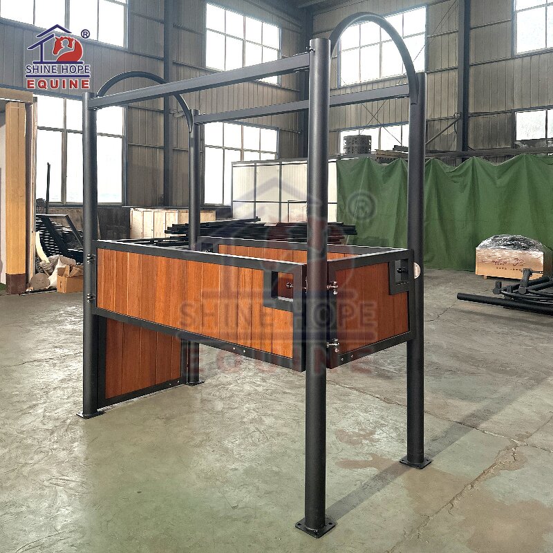 Examination Inspection Stand Manufacturer - OEM Stable and Safe Barre D'echographie for Exam