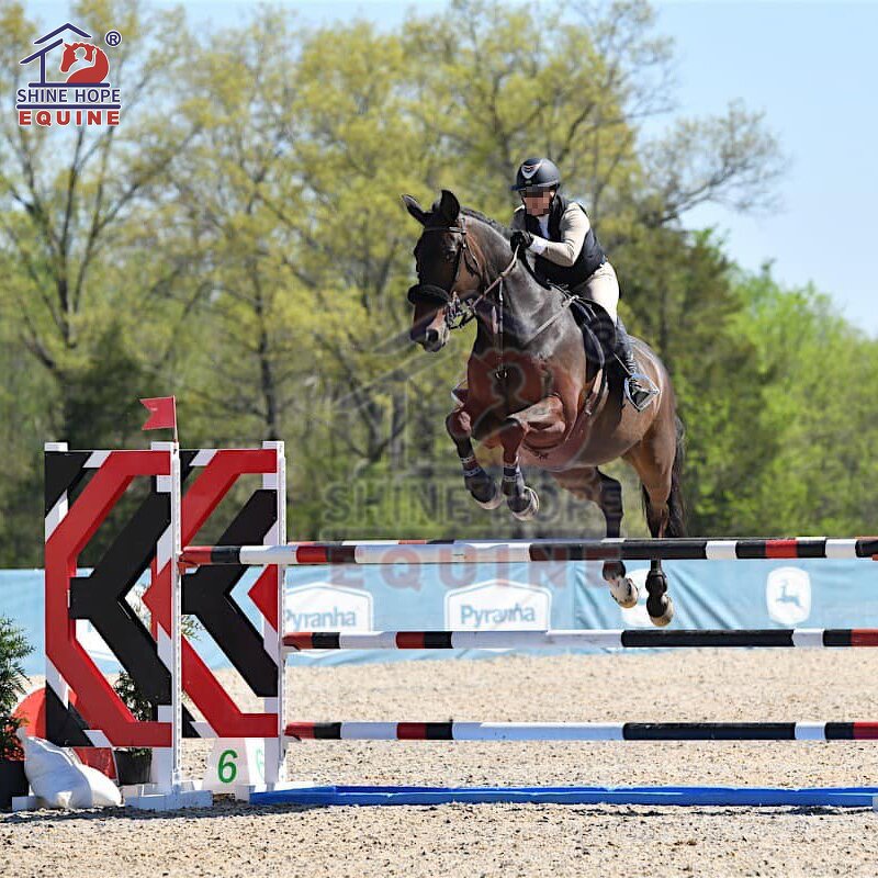 Hunter Jumping Wing Factory - OEM Horse Show Jump with Keyhole Tracks