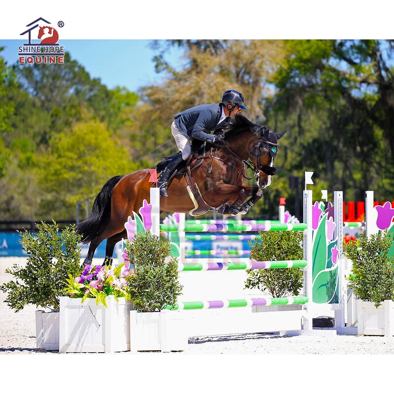 Training Aluminum Jump Manufacturer - OEM New Design Jumping Fence with Keyhole Track