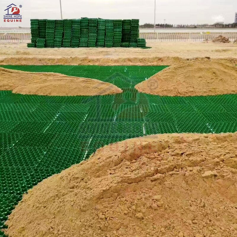 HDPE Grass Grid Paving Factory - OEM Modern Grids for School Driveway Plastic Parking