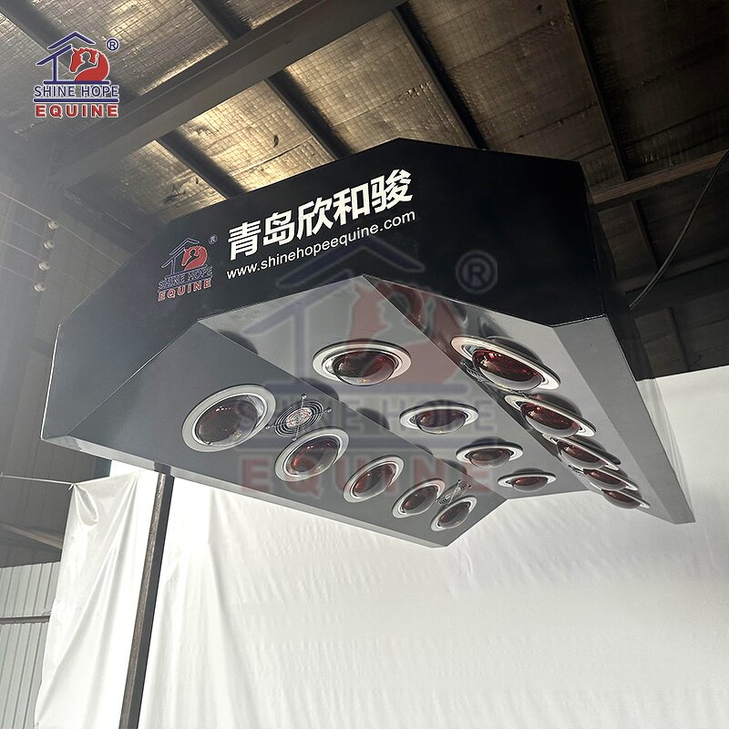 Electric Lift Infrared Solarium Manufacturer - OEM Red Light Therapy Horses Solarium