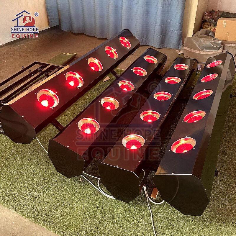 Equine Solarium with 20 Lamps Factory - OEM Best Selling Infrared Therapy for Horses
