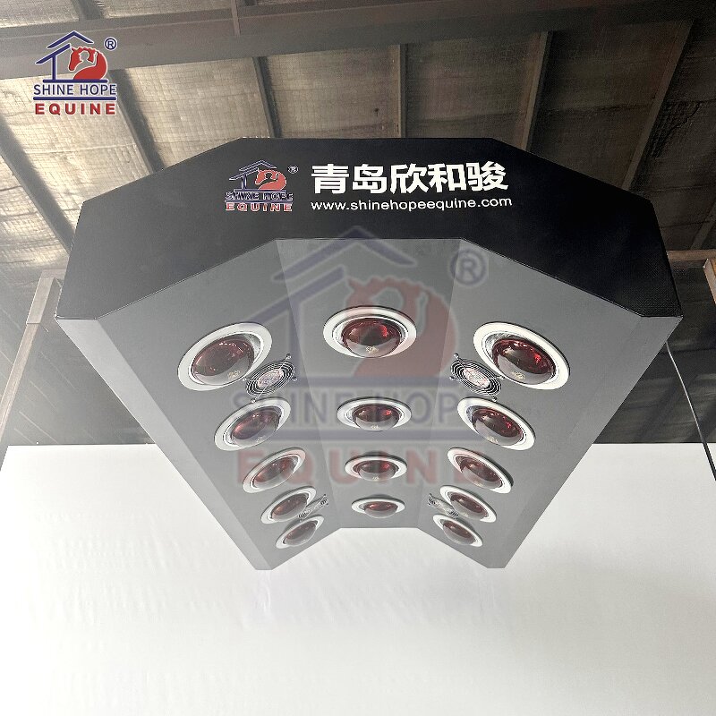Electric Lift Infrared Solarium Manufacturer - OEM Red Light Therapy Horses Solarium