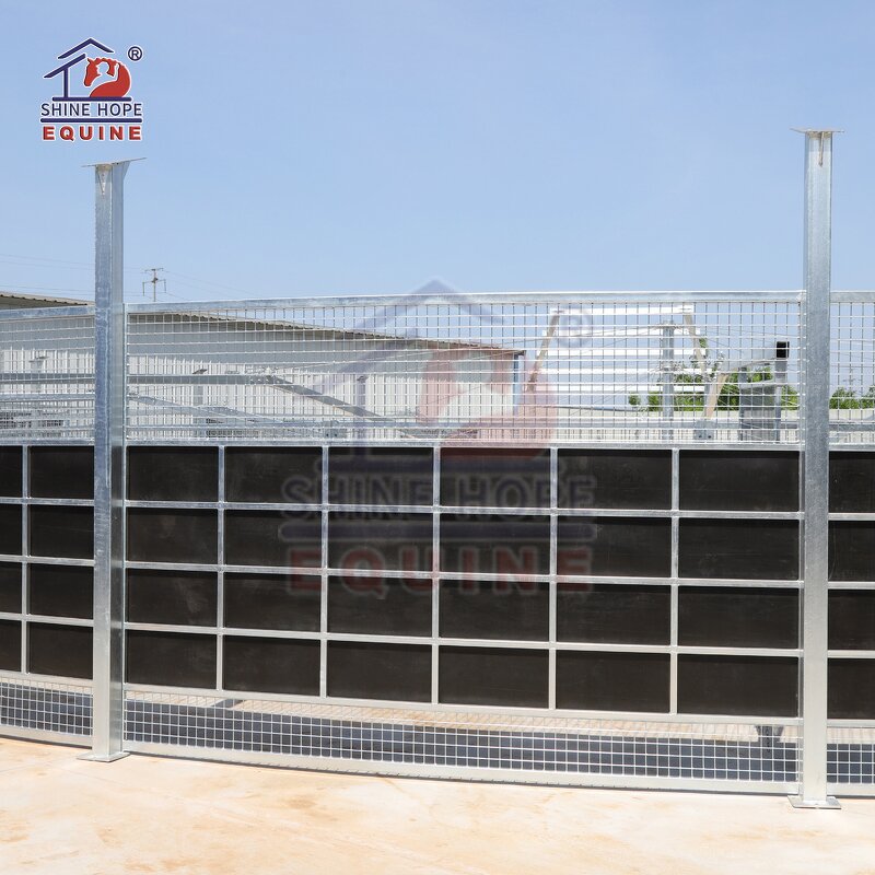 Horse Training Walker Manufacturer - OEM Steel Heavy Duty with Track Roof Charged Pushers