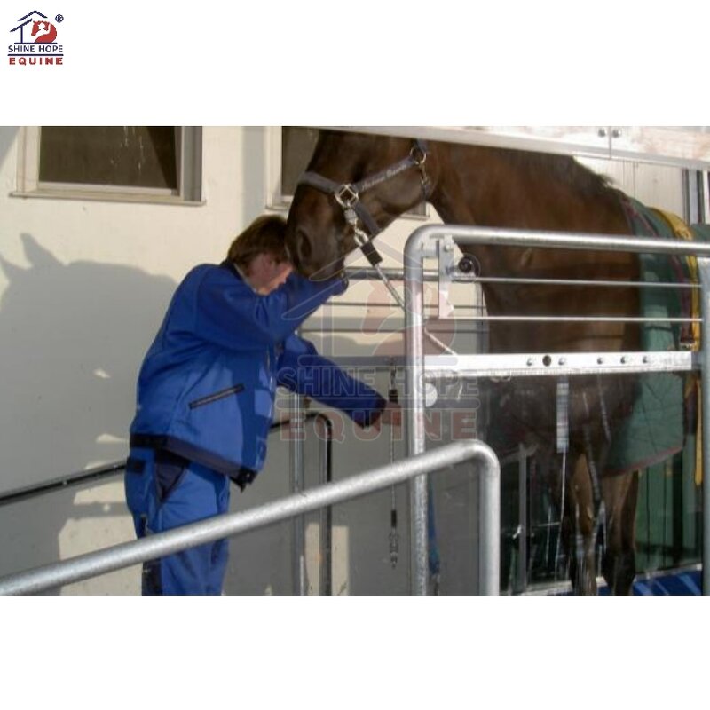 Equine Treadmill Manufacturer - OEM High Speed Horse Strength Training Racing