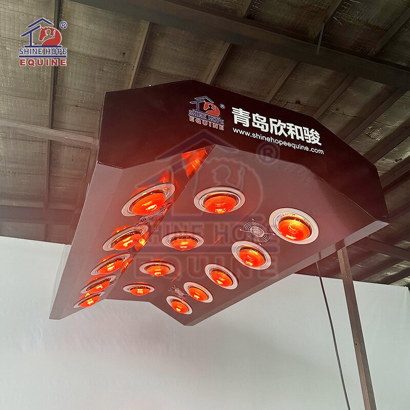 Electric Lift Infrared Solarium Manufacturer - OEM Red Light Therapy Horses Solarium
