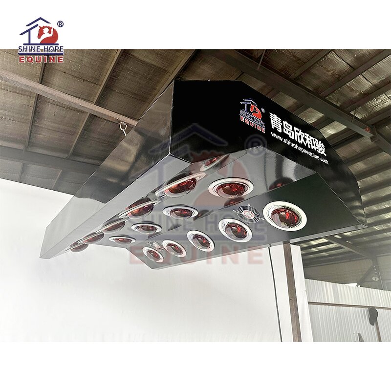 Equine Solarium Manufacturer - OEM Best Selling Infrared Therapy for Horse