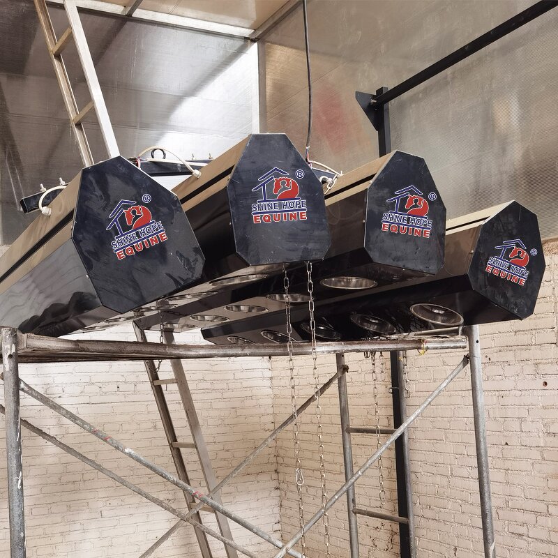 Equine Solarium Manufacturer - OEM Horse Training with Imported Lamps for Sale