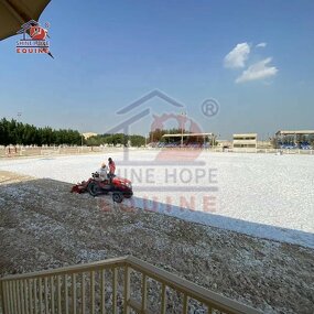 Horse Arena Footing Blend Factory - OEM Shinehope Geotextile Fiber Product