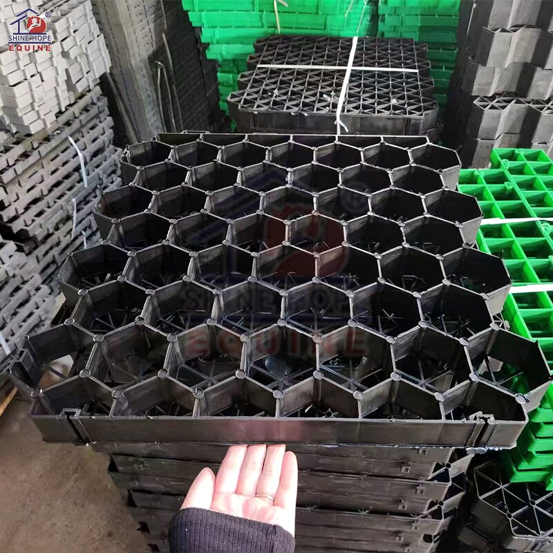 HDPE Grass Grid Paving Factory - OEM Modern Grids for School Driveway Plastic Parking