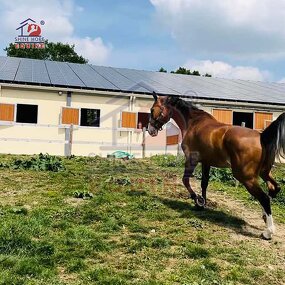 Horse Barn Windows Manufacturer - OEM Husbandry Equipment Heavy Duty Steel Prefab HDG