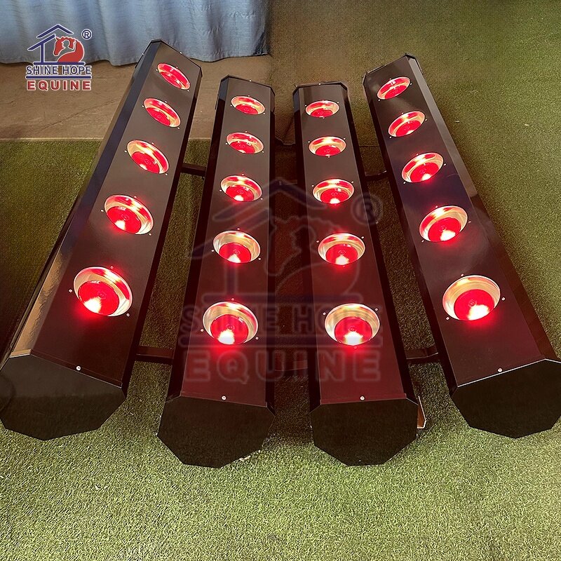 Equine Solarium with 20 Lamps Factory - OEM Best Selling Infrared Therapy for Horses