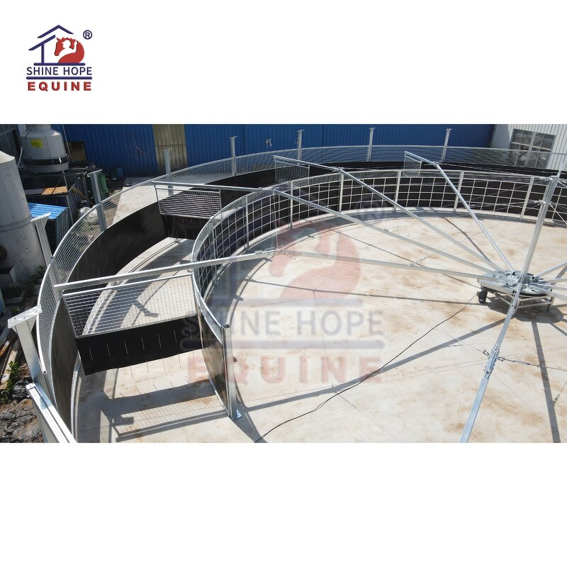 Horse Training Walker Manufacturer - OEM Steel Heavy Duty with Track Roof Charged Pushers