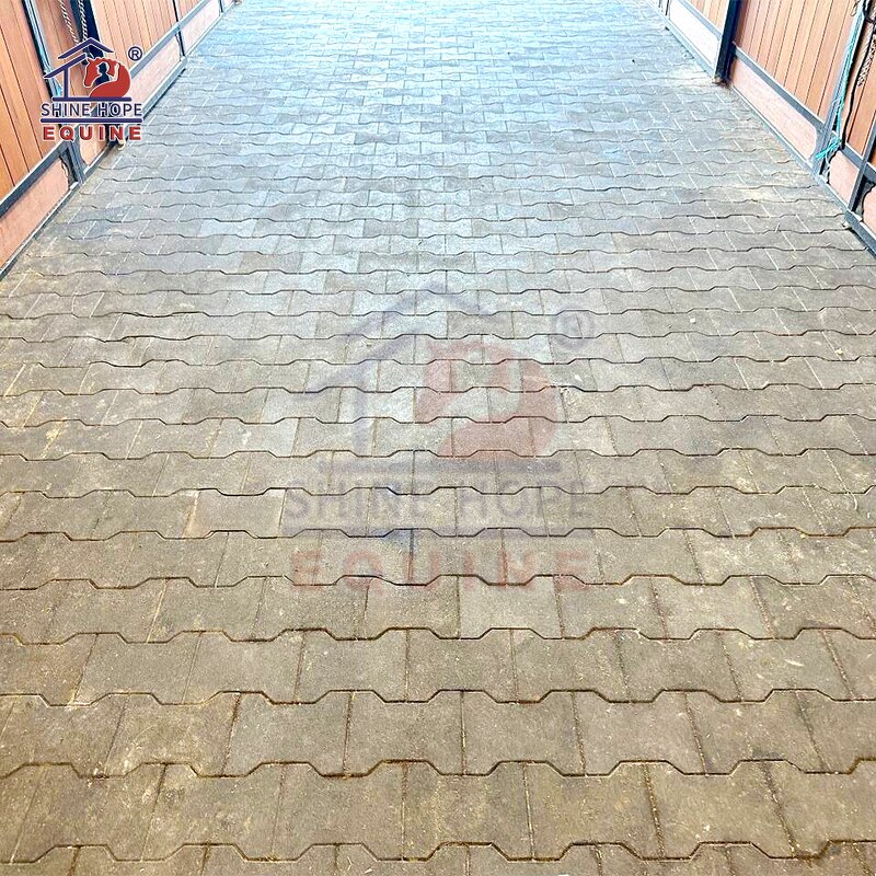 Steel Horse Stalls Manufacturer - OEM Outdoor Hot Dip Galvanized Barn Equipment